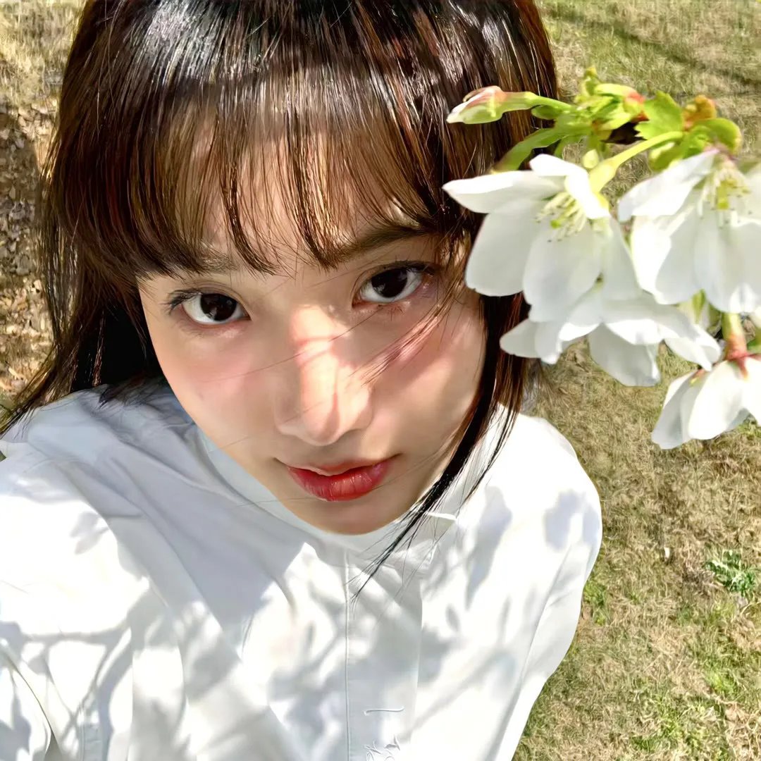 吉屋藏娇